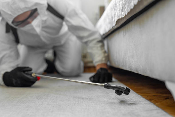 Professional Bed Bug Control technician working in Grant, MN